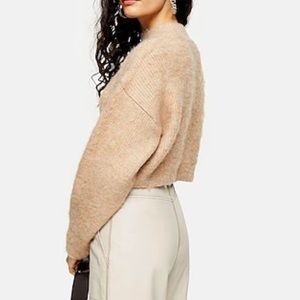 Topshop Cropped Sweater